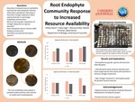 Root Endophyte Community Response to Increased Resource Availability by Hillary K Payne and Haley E. Sage