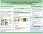 The Study of PPAL and its Role in the Development of Physcomitrella patens by Susana Perez-Martinez, Christine Chen, and Mark P. Running